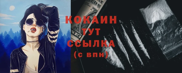 спайс Покачи