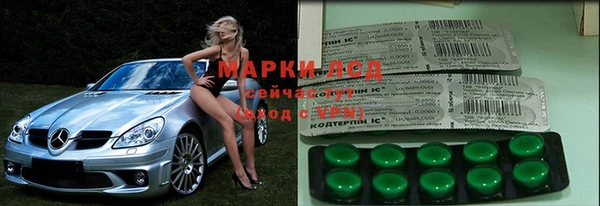 спайс Покачи