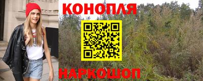 прущие грибы Тара