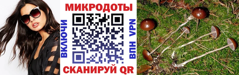 hydra онион  Первоуральск  Псилоцибиновые грибы Cubensis  магазин   